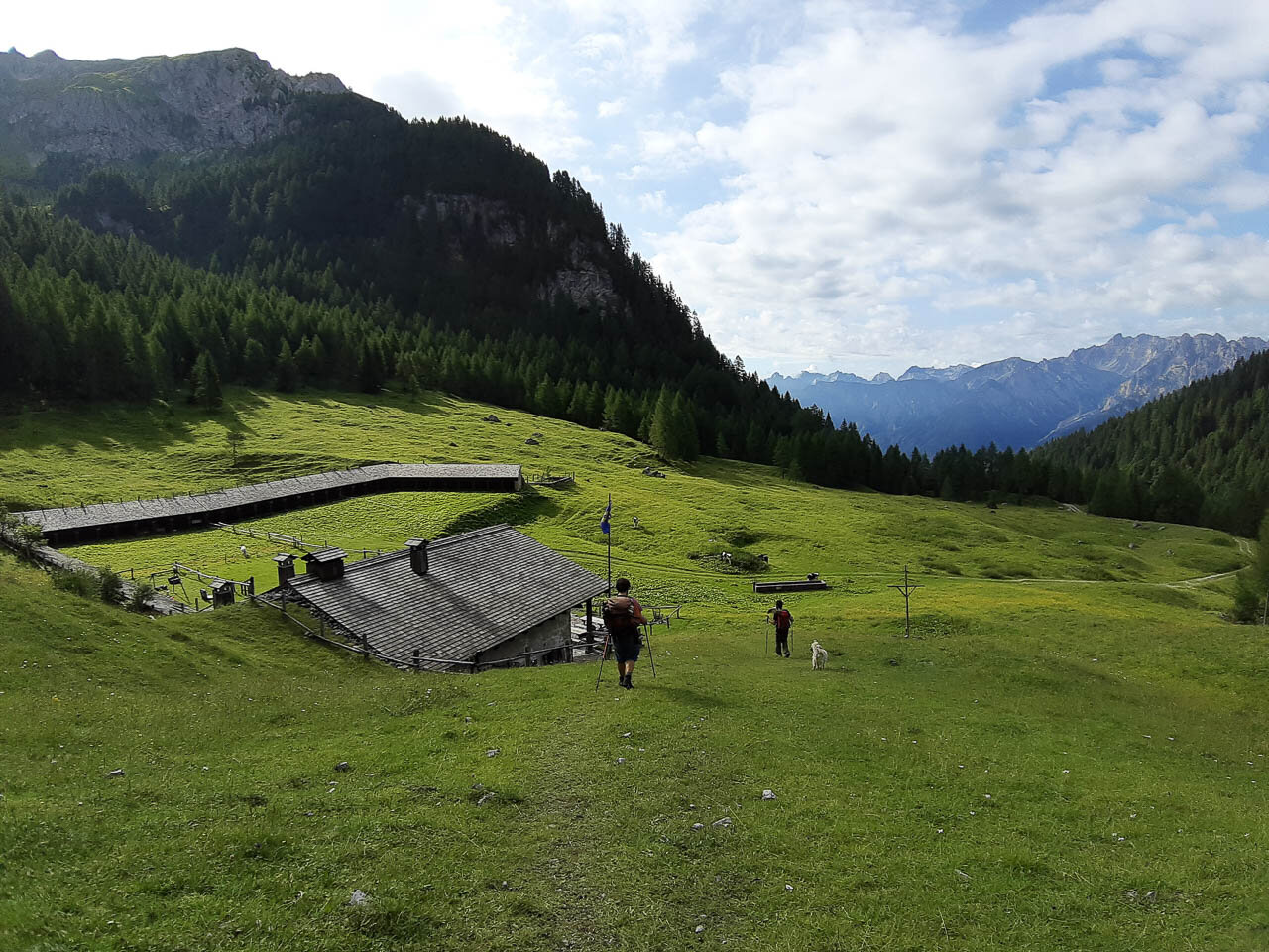 Alta_Via_Forni_5_WEB.jpg