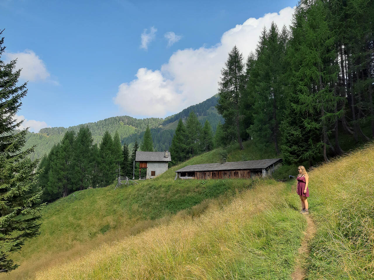 Alta_Via_Forni_6_WEB.jpg