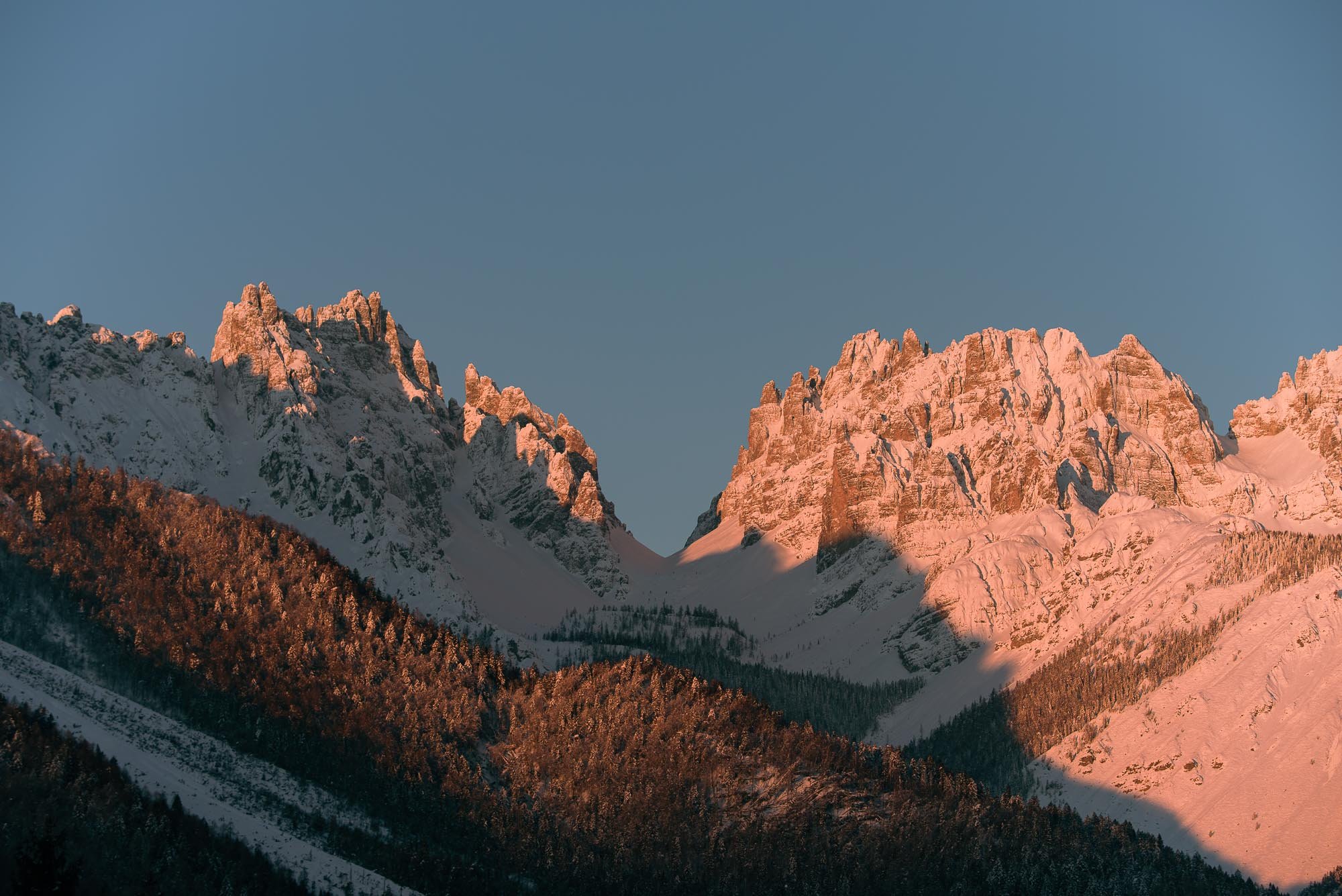 Homepage_Giaf_2_WEB.jpg