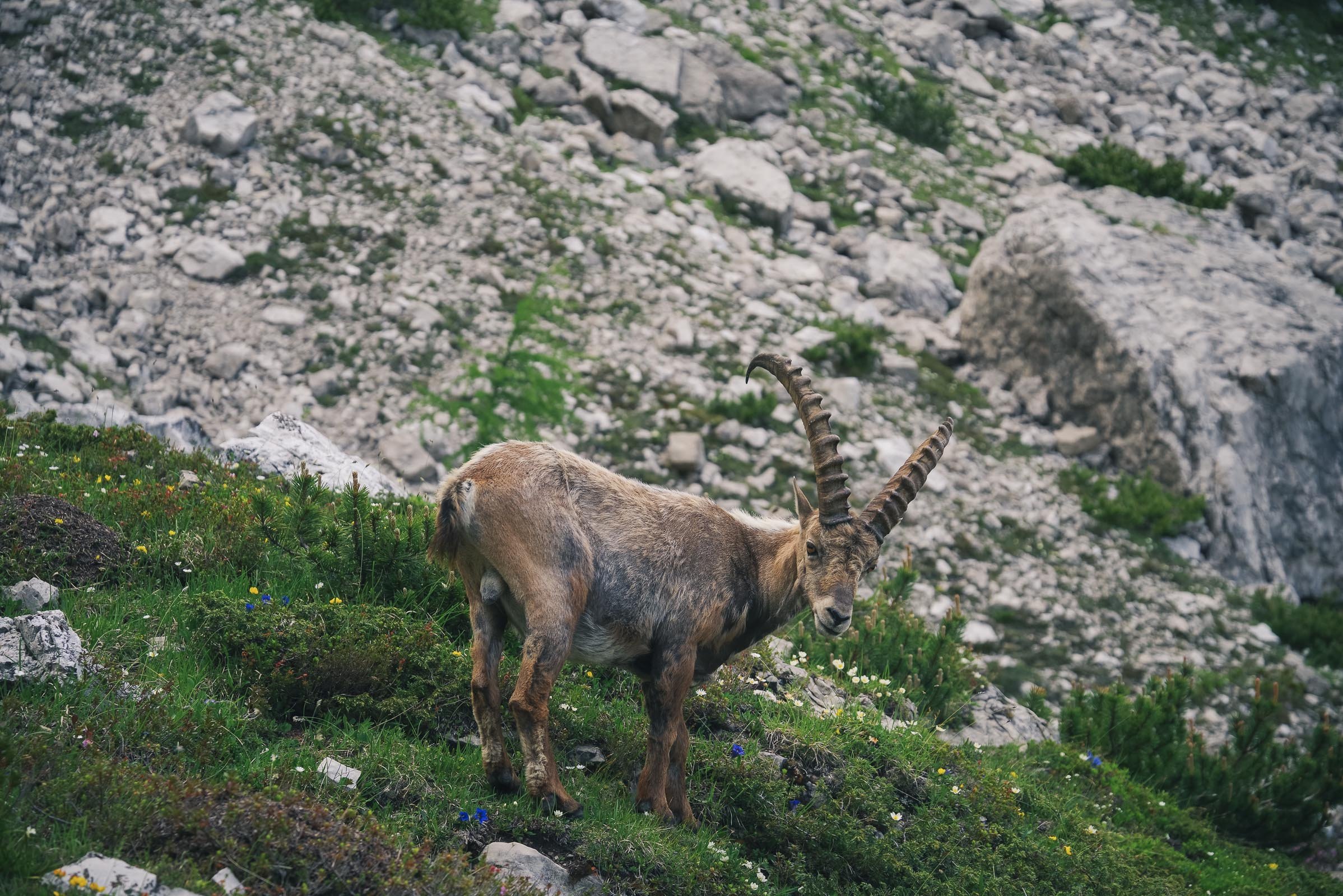 Anello_Dolomiti_Friulane_2021_Web_37.jpg